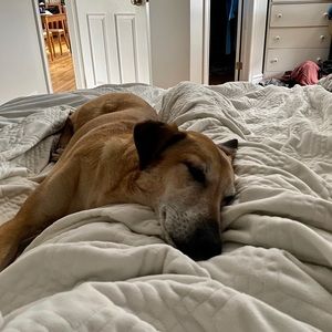 Meet your Posher, Heather